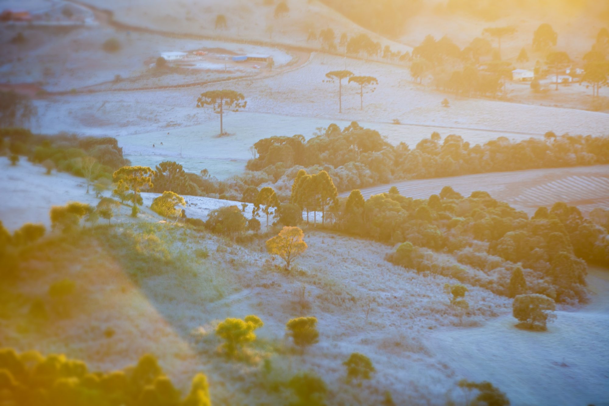 Vista aérea do campo coberto de geada ao amanhecer dourado em Guarapuava